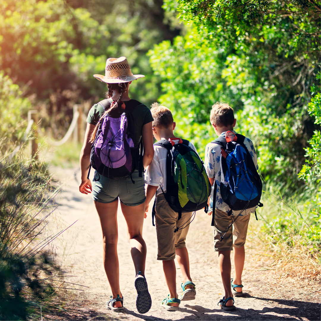 Amemos nuestra Flora y Fauna 🦧🦊🌱🐛🌿🦋