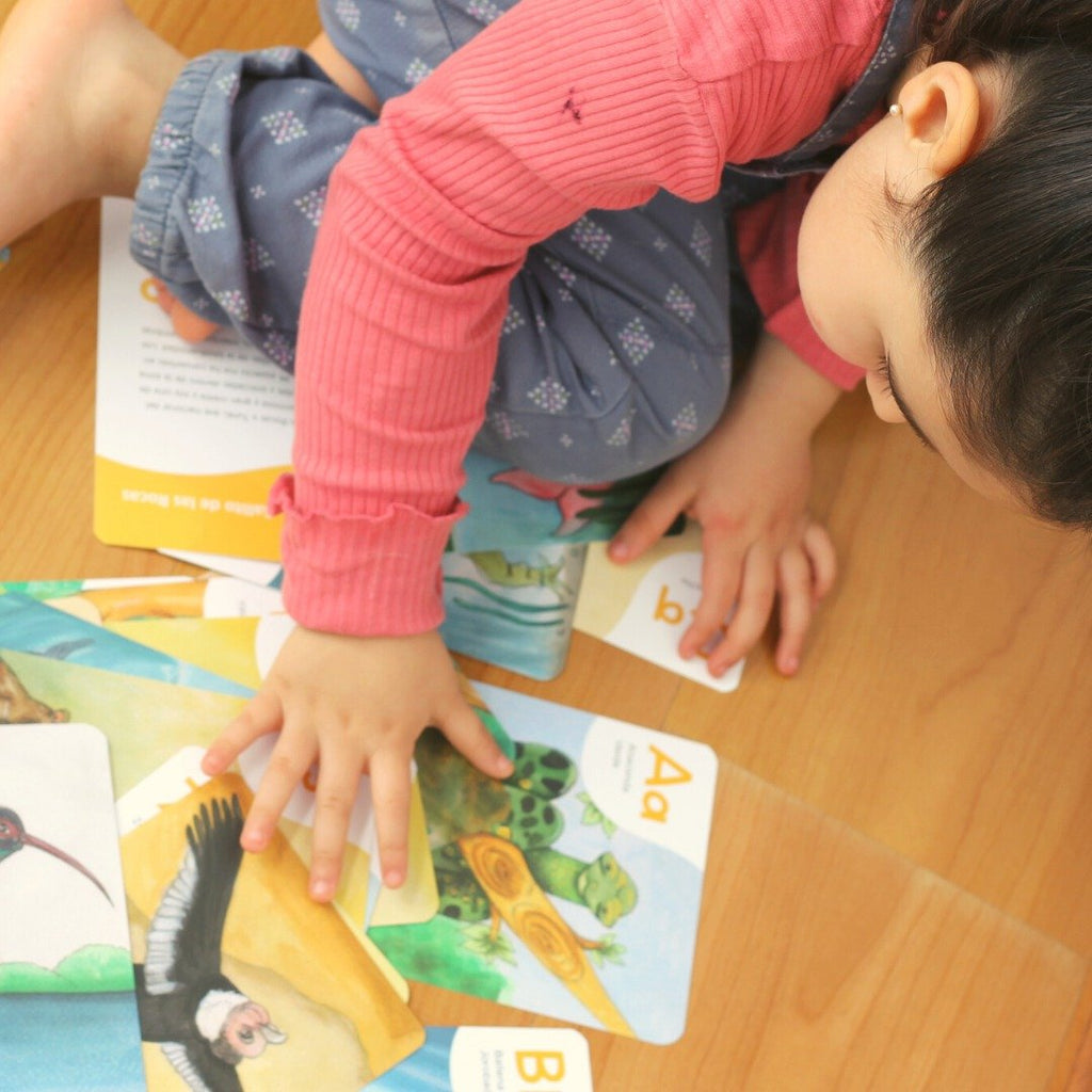 Flashcards - abecedario de animales peruanos